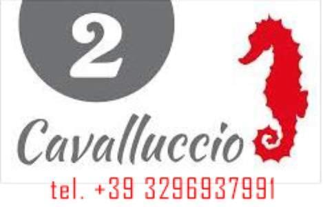 Mar&Sol Hotel Termoli Ngoại thất bức ảnh